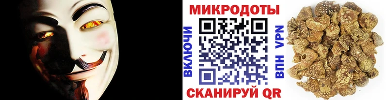 Псилоцибиновые грибы Psilocybe  mega онион  Верхняя Тура 