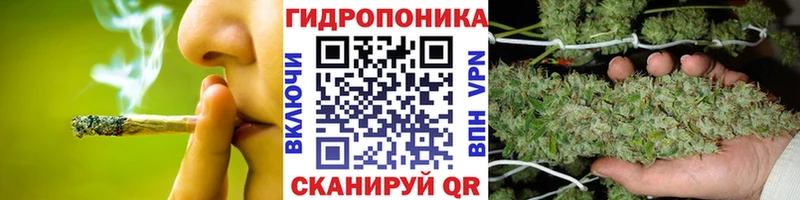 Каннабис Amnesia  блэк спрут сайт  Верхняя Тура 